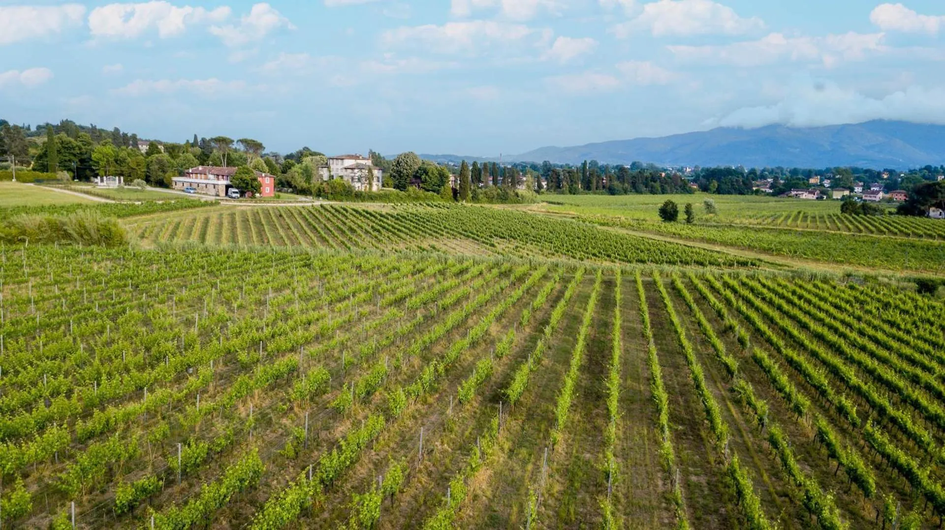 Pietro Farmhouse Apartment In Wine Resort In Lucques